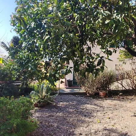 Mulinetti